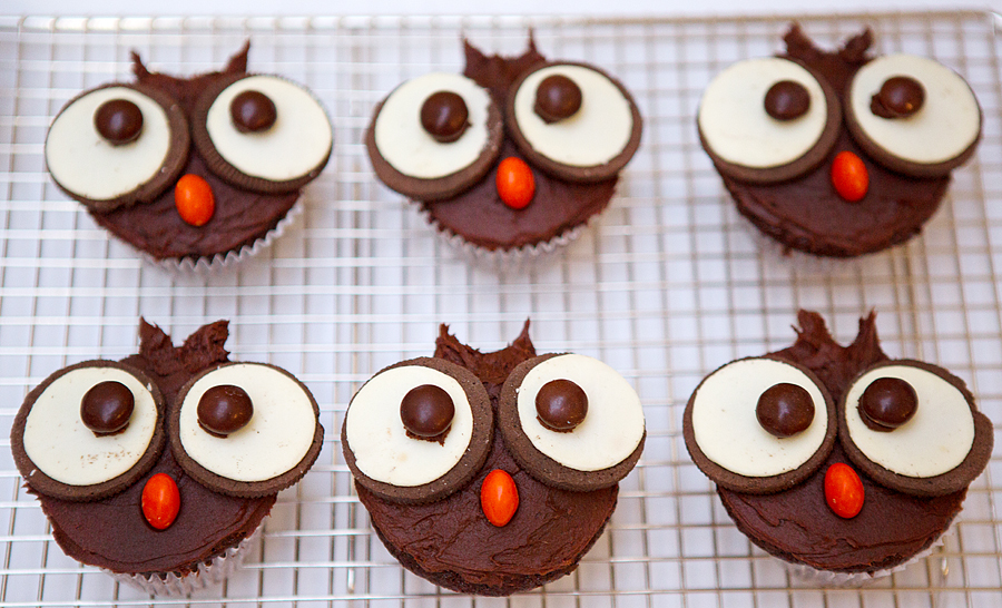 Chocolate owl decorated cupcakes