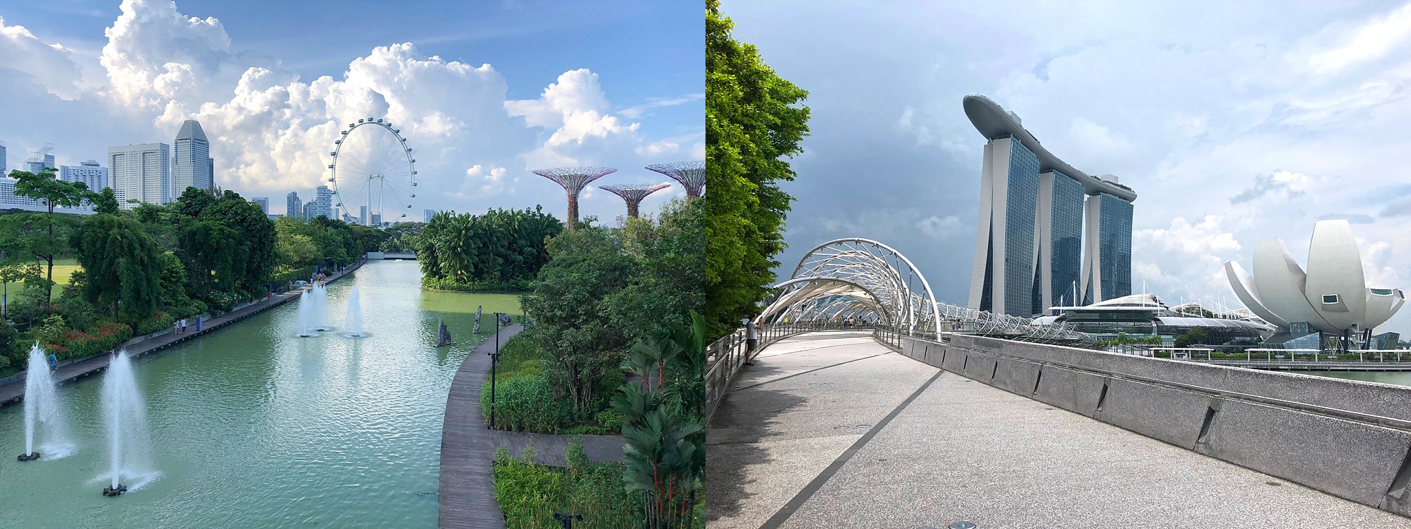 Gardens by the Bay, Singapore (taken with iPhone 8)
